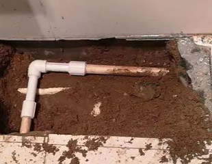 周口市测漏水哪家好