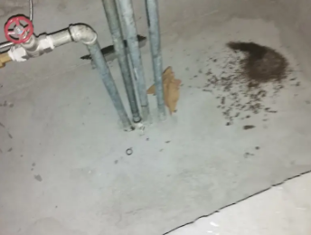 周口市卫生间测漏水价格明细