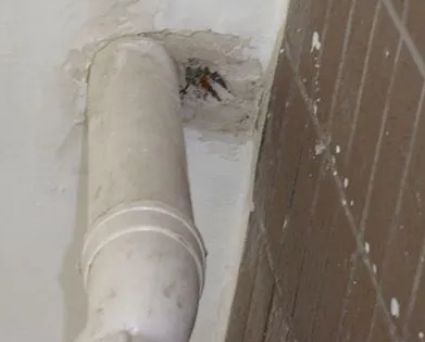 周口市漏水检测哪家好